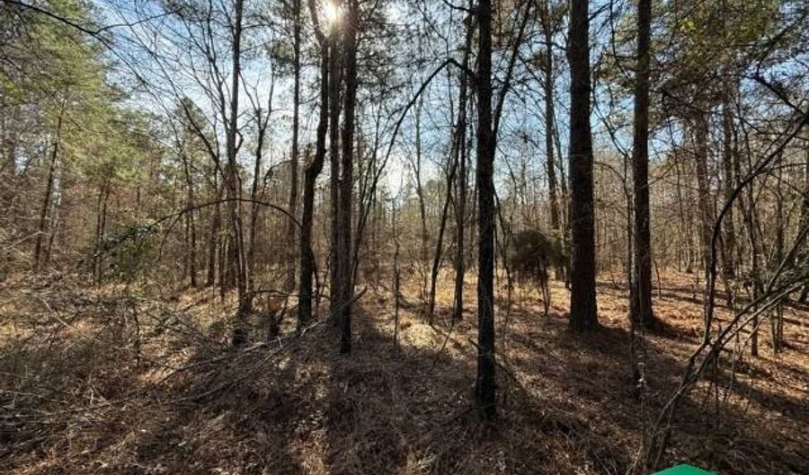Yeldell Rd, Bastrop, LA 71220 - 0 Beds, 0 Bath