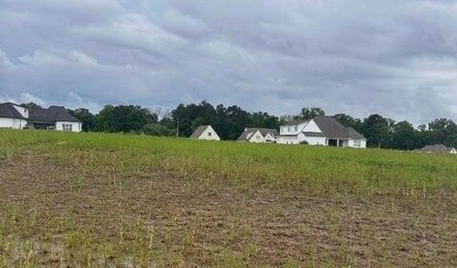 Mulberry Dr, Brandon, MS 39047 - 0 Beds, 0 Bath