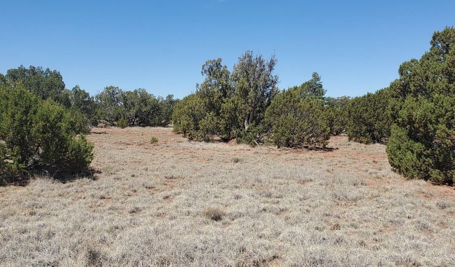 17 County Road 8077, Concho, AZ 85924 - 0 Beds, 0 Bath