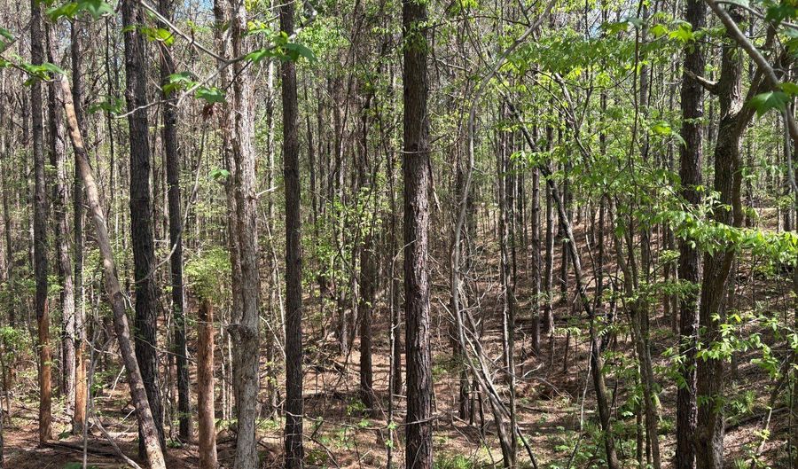 274 CR 3301, Booneville, MS 38829 - 0 Beds, 0 Bath