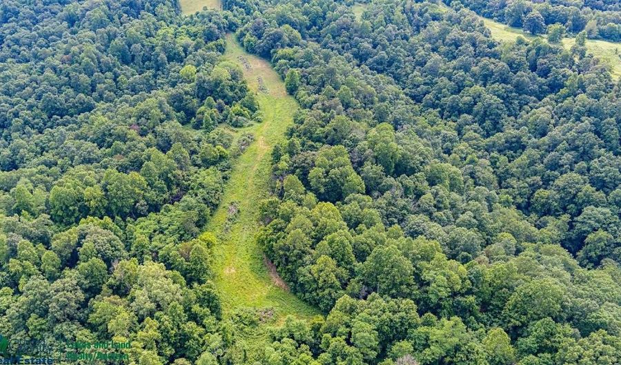 Tract # 1 Willis Creek Rd, Albany, KY 42602 - 0 Beds, 0 Bath