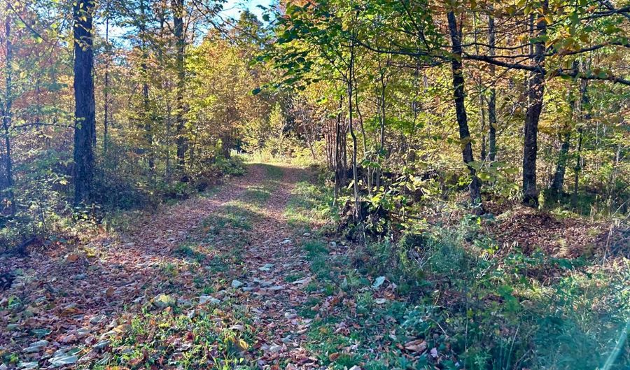 6506 DOUBLE BEND Rd, Argonne, WI 54511 - 2 Beds, 1 Bath