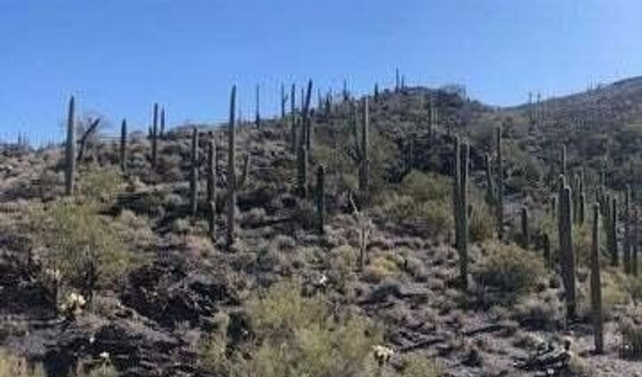 37395 N Sunset Tr-THREE LOTS N, Cave Creek, AZ 85331 - 0 Beds, 0 Bath