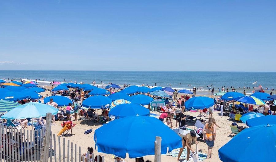 24309 AVERY Ct, Harbeson, DE 19951 - 4 Beds, 3 Bath