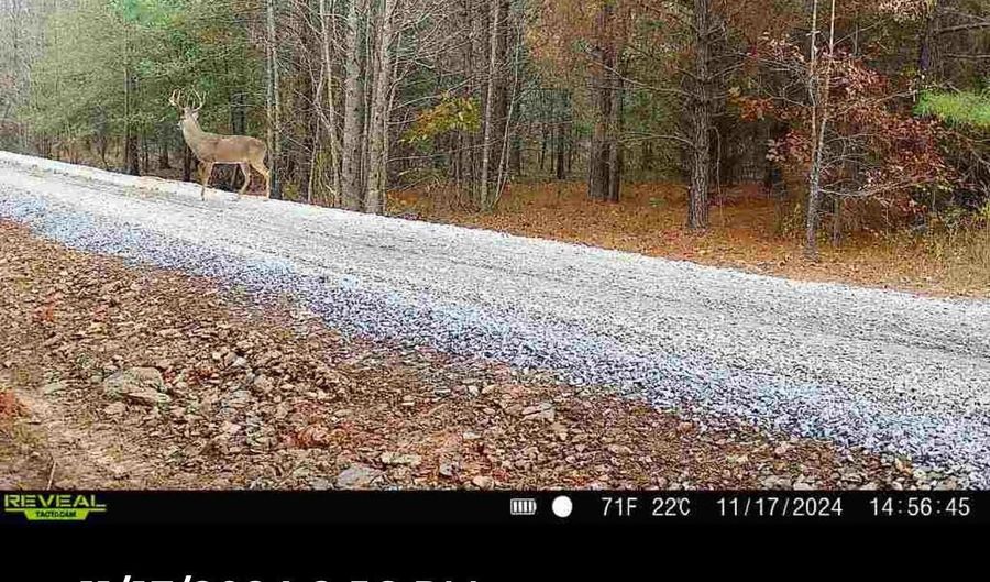 00 Cypress Lake Rd, Beebe, AR 72012 - 0 Beds, 0 Bath