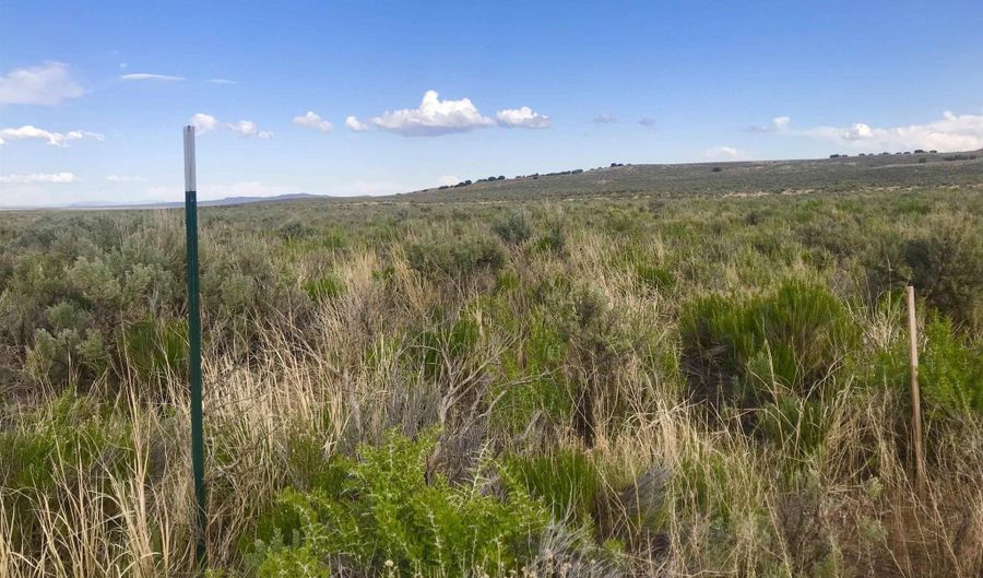00546008 Near Dean Dann Spa Rd, Crescent Valley, NV 89821 - 0 Beds, 0 Bath