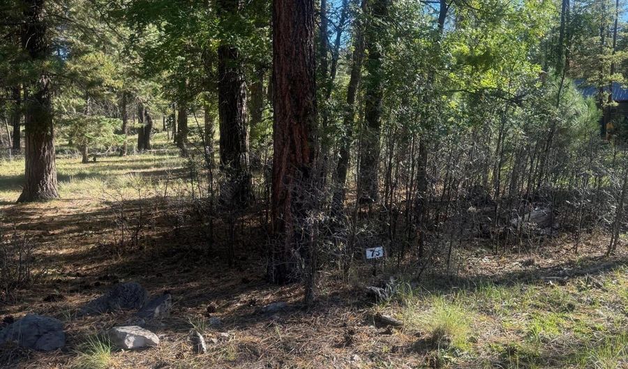 7 2190, Alpine, AZ 85920 - 0 Beds, 0 Bath