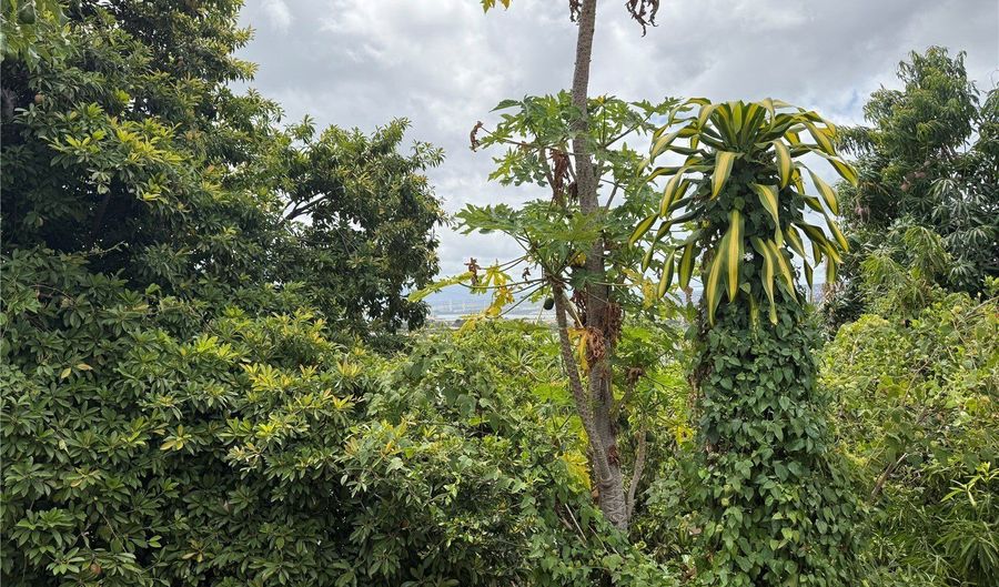 1358 Wanaka St, Honolulu, HI 96818 - 6 Beds, 3 Bath