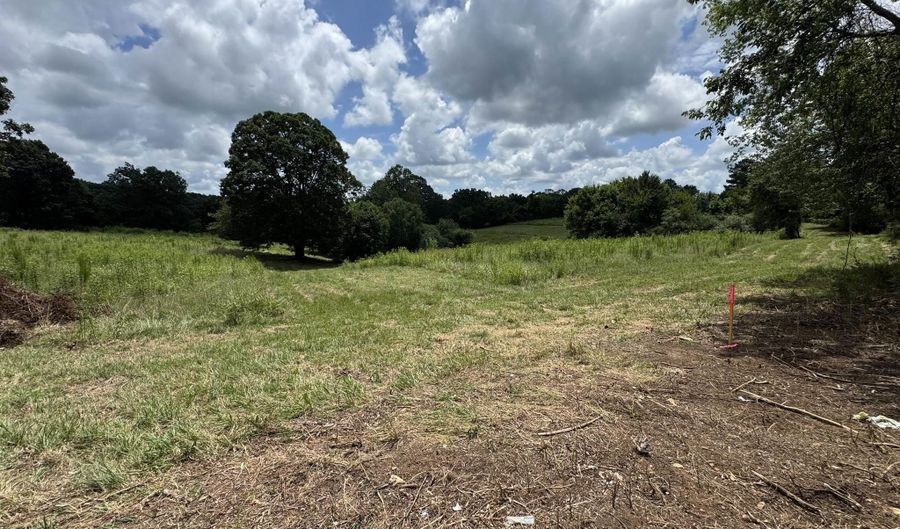 Tract 2 County Road 656, Anderson, AL 35610 - 0 Beds, 0 Bath