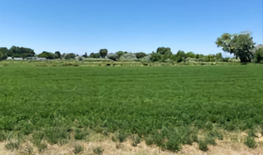 900 Calkin / Rice Rd, Fallon, NV 89406 - 0 Beds, 0 Bath