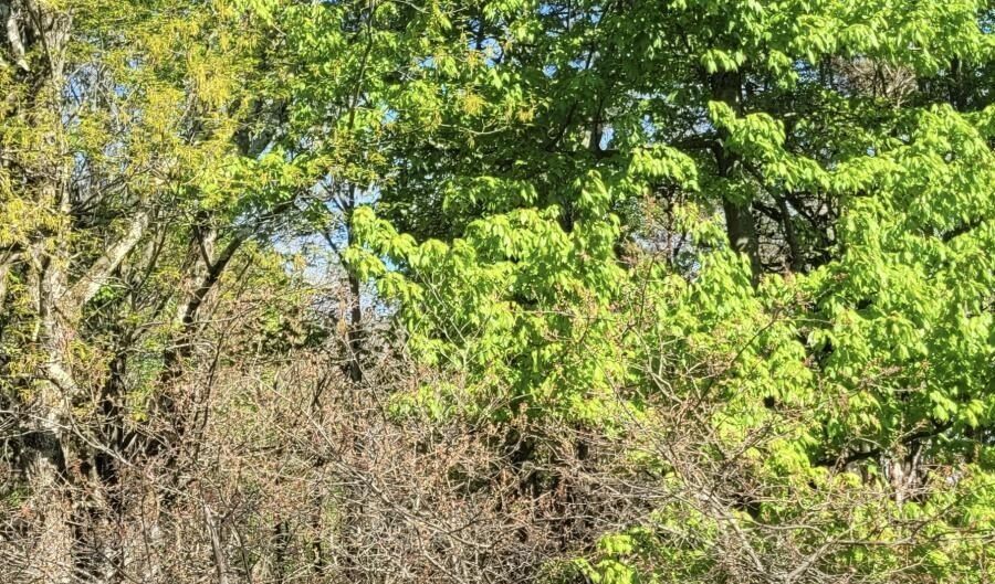 D2019 Penn Forest Trail, Albrightsville, PA 18210 - 0 Beds, 0 Bath