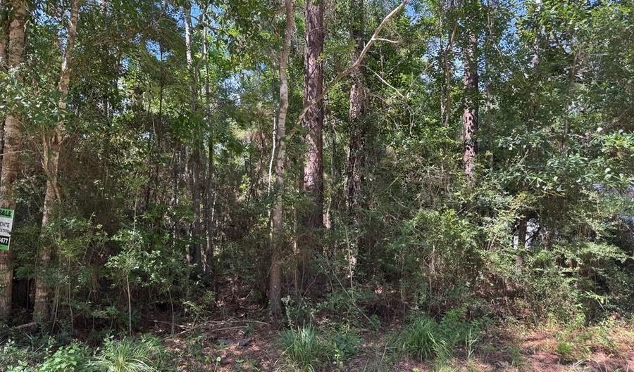 0 E Bolivar St, Bay St. Louis, MS 39520 - 0 Beds, 0 Bath