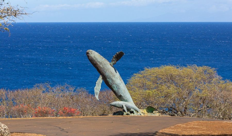 56-2891 HALEAKALA VIEW Pl, Hawi, HI 96719 - 0 Beds, 0 Bath