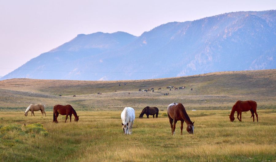 Sheep Mountain Road, Centennial, WY 82055 - 0 Beds, 0 Bath