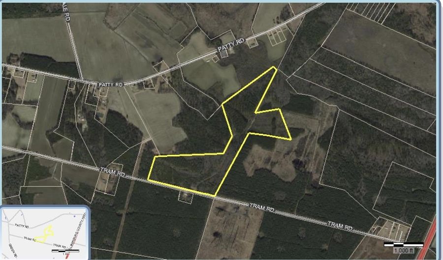452 Tram Rd, Cades, SC 29518 - 0 Beds, 0 Bath