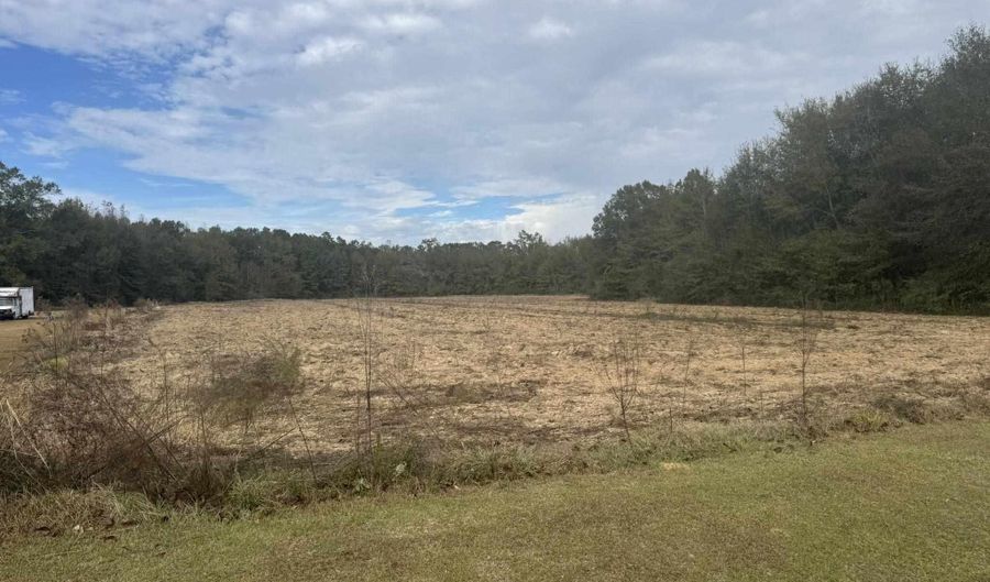 Lot 1 Freemanville Dr, Atmore, AL 36502 - 0 Beds, 0 Bath
