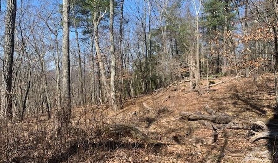 0 Route 82, Ancramdale, NY 12503 - 0 Beds, 0 Bath