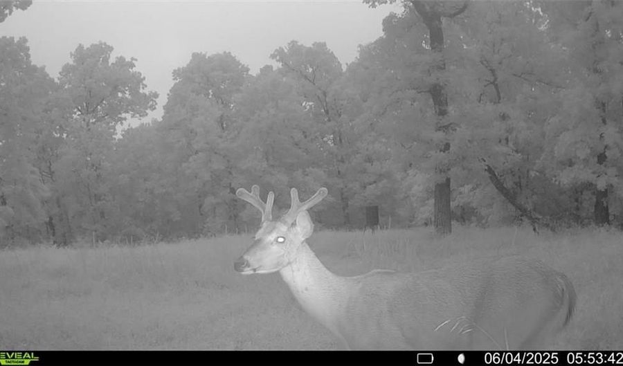 71 8 Klondike Rd, Anderson, MO 64831 - 0 Beds, 0 Bath