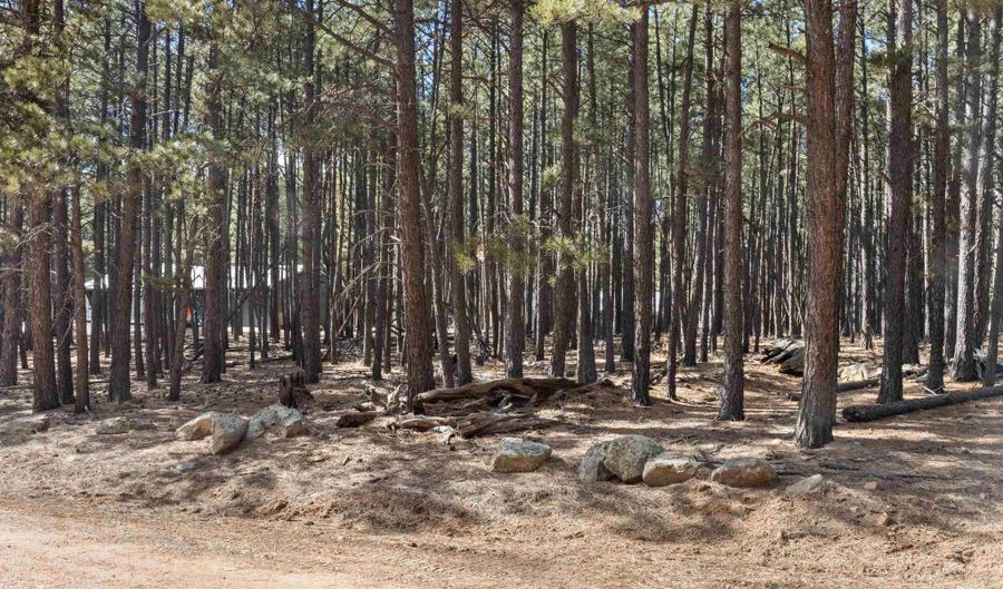 Knollwood Way lot 3, Angel Fire, NM 87710 - 0 Beds, 0 Bath