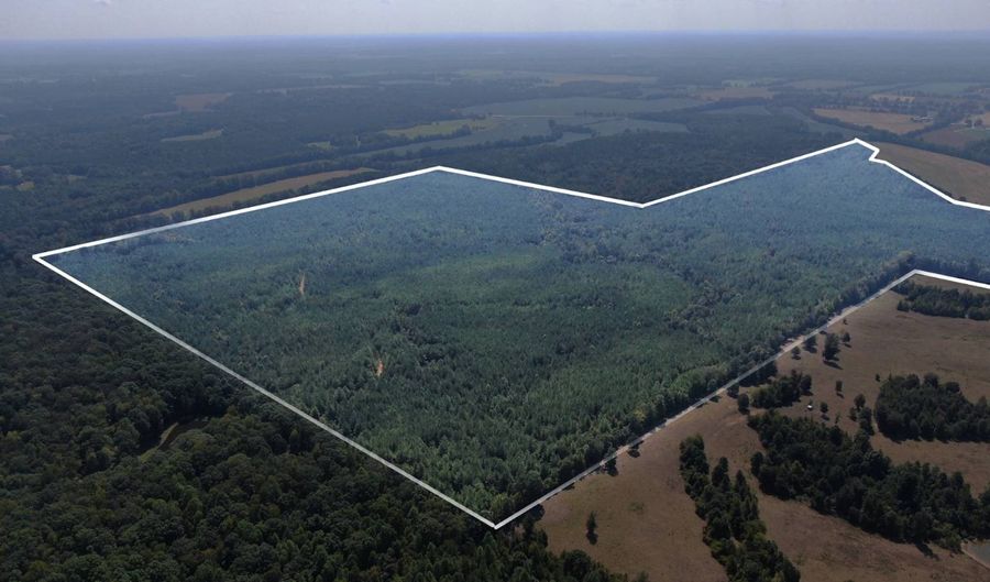 0 CR 320, Big Creek, MS 38914 - 0 Beds, 0 Bath