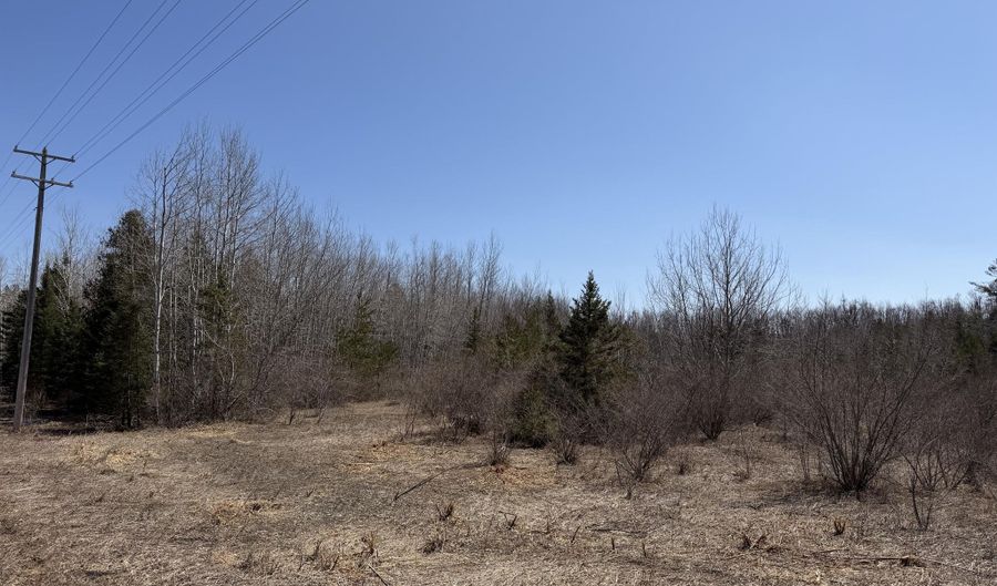 139 AC Witt Rd, Alpena, MI 49707 - 0 Beds, 0 Bath