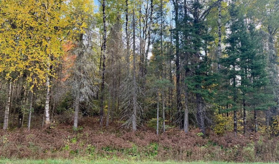 9403 CTH A, Alvin, WI 54542 - 0 Beds, 0 Bath