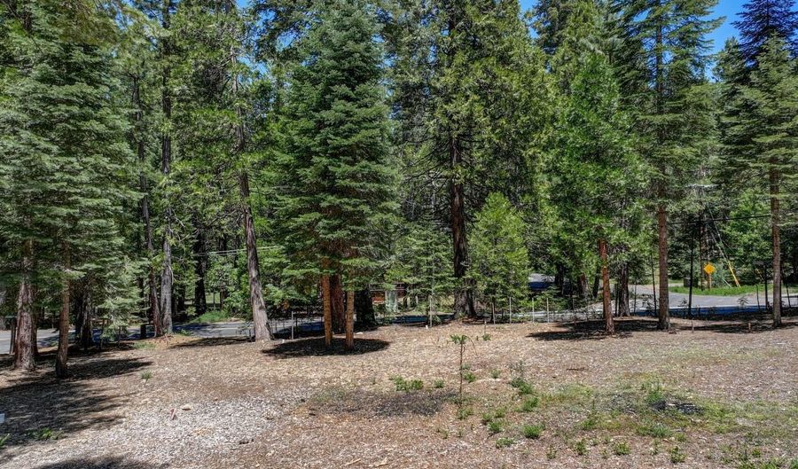 3380 El Camino Boot Strap, Arnold, CA 95223 - 0 Beds, 0 Bath