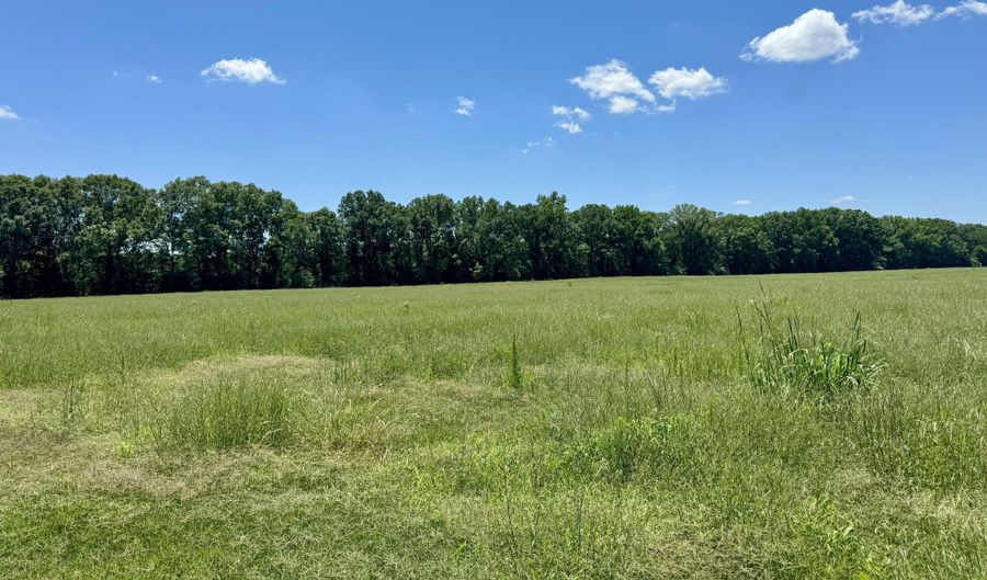 000001 Johnson Line Rd, Bolton, MS 39041 - 0 Beds, 0 Bath