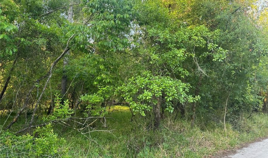 1297 NE RIVER RAFT Dr, Arcadia, FL 34266 - 0 Beds, 0 Bath