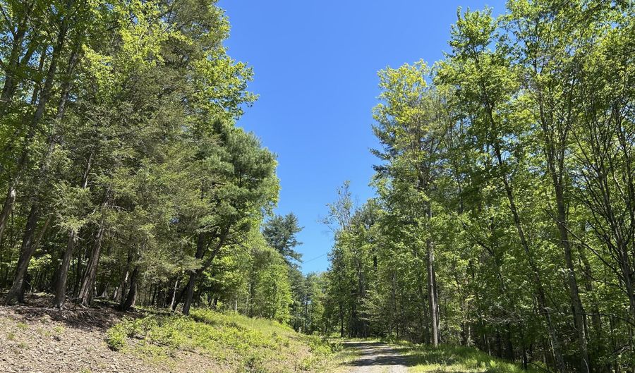 TALLMAN HOLLOW ROAD, Montoursville, PA 17754 - 0 Beds, 0 Bath