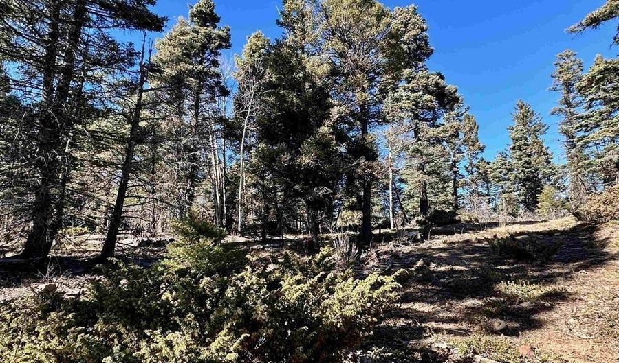 Lot 51 Via de Maria, Angel Fire, NM 87710 - 0 Beds, 0 Bath