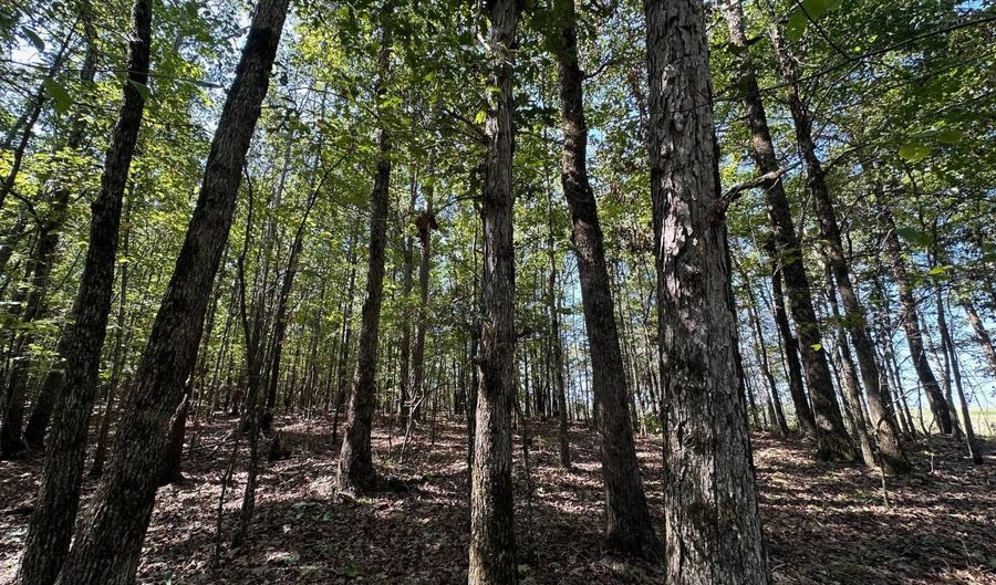 3 Highway 790, Ackerman, MS 38963 - 0 Beds, 0 Bath