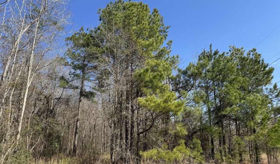 01 Bar M Farm, Andalusia, AL 36421 - 0 Beds, 0 Bath