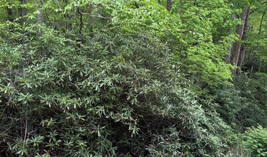2 Lots Warrior Way Road Lot 11 & 15, Andrews, NC 28781 - 0 Beds, 0 Bath