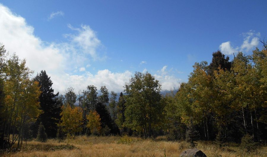Lot 1287 El Camino Real, Angel Fire, NM 87710 - 0 Beds, 0 Bath