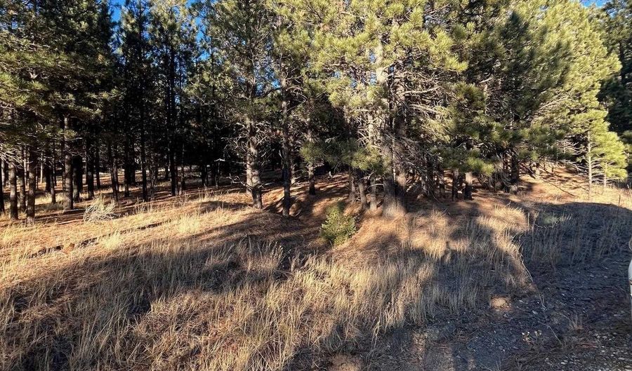 1 And 2 Lower Rd, Angel Fire, NM 87710 - 0 Beds, 0 Bath