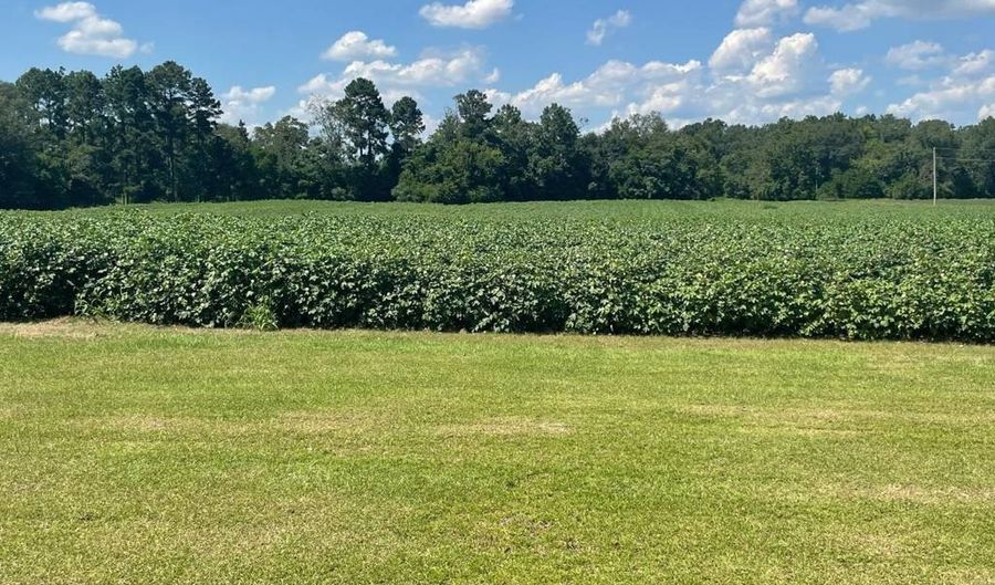 2672 Big Fork Rd, Barnwell, SC 29812 - 3 Beds, 2 Bath