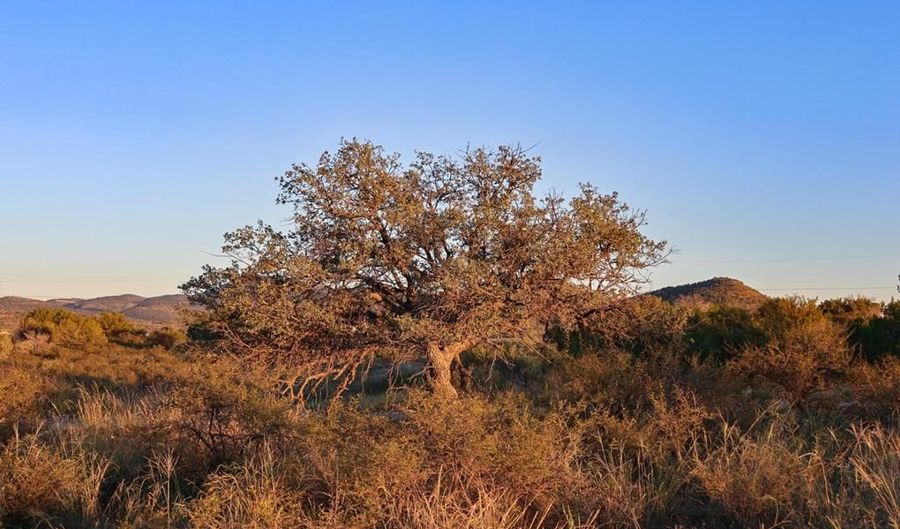 1086 Juniper, Alpine, TX 79830 - 0 Beds, 0 Bath