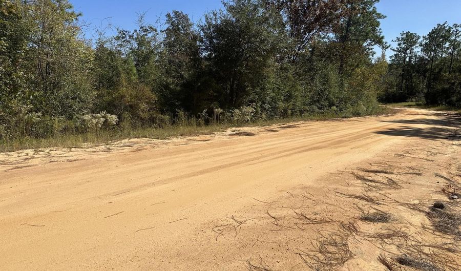 Alene Drive, Alford, FL 32420 - 0 Beds, 0 Bath