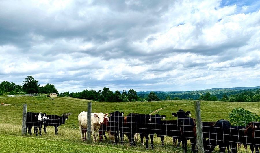 1750 Ridge Rd, Austinville, VA 24312 - 4 Beds, 2 Bath