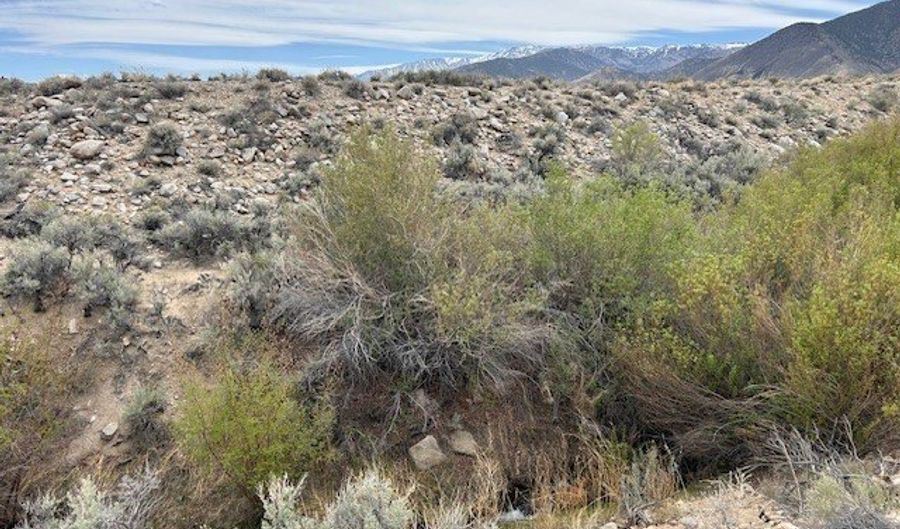 730 CHIATOVICH CREEK Dr, Dyer, NV 89010 - 0 Beds, 0 Bath