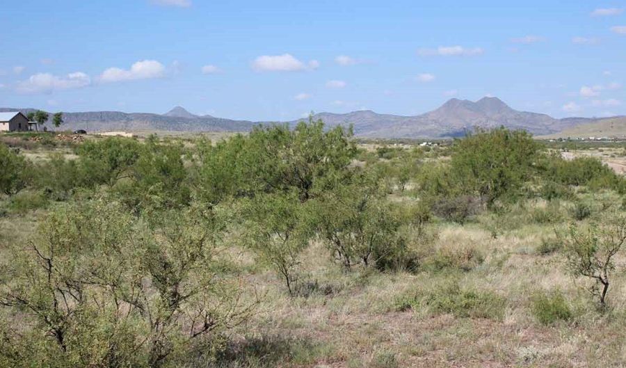 TR 24R Sierra La Rana, Alpine, TX 79830 - 0 Beds, 0 Bath
