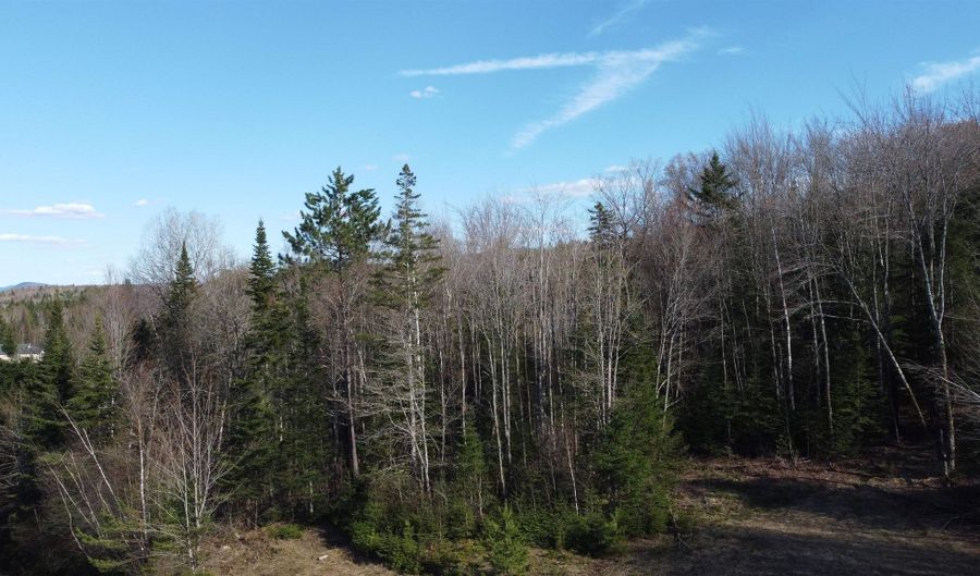 Atwood Road lot 5, Brighton, VT 05846 - 0 Beds, 0 Bath