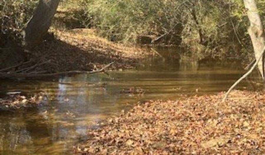 Julius Bridge Road, Ball Ground, GA 30107 - 0 Beds, 0 Bath