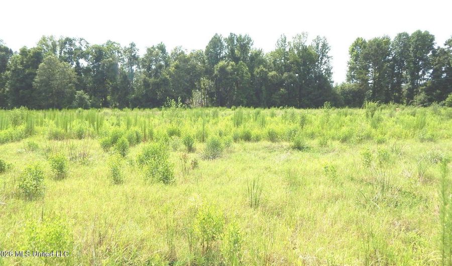 590 County Road 247, Bruce, MS 38915 - 0 Beds, 0 Bath