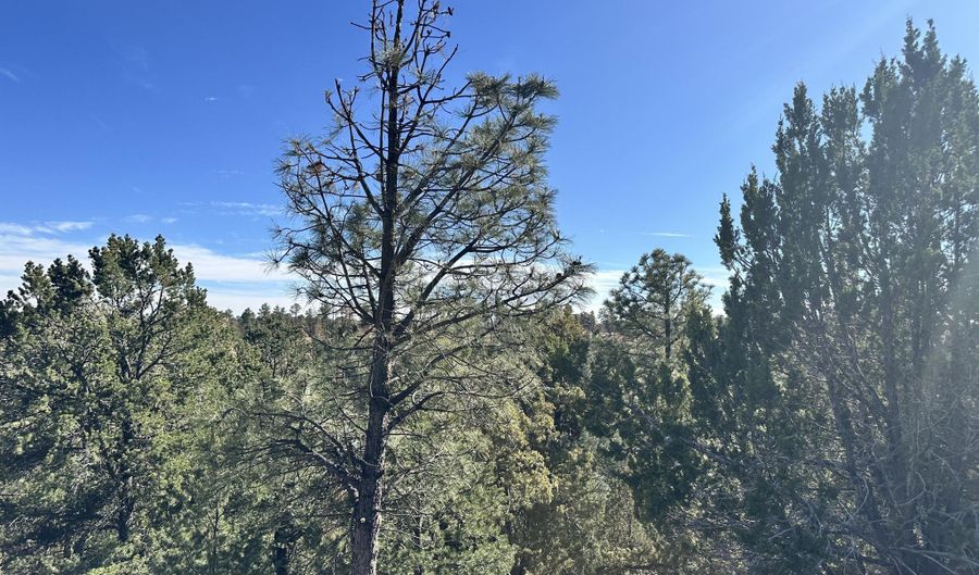 T15B Partridge Ct. lot Tract 15B, Alto, NM 88312 - 0 Beds, 0 Bath