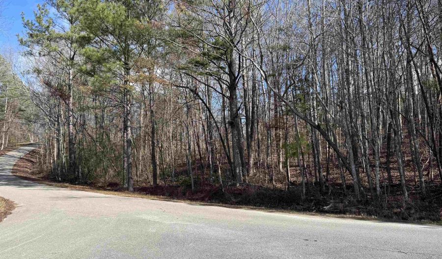 80 Acres Lakeshore Dr, Double Springs, AL 35553 - 0 Beds, 0 Bath