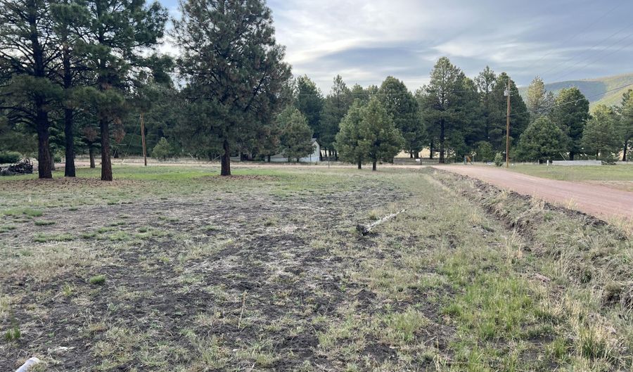 18 County Rd 2063, Alpine, AZ 85920 - 0 Beds, 0 Bath