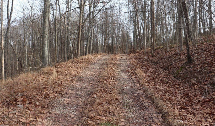 Route 12 Road, Alum Creek, WV 25003 - 0 Beds, 0 Bath