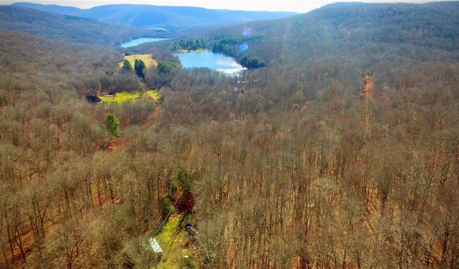 339 Mountain Lake Rd, Andes, NY 13731 - 3 Beds, 1 Bath